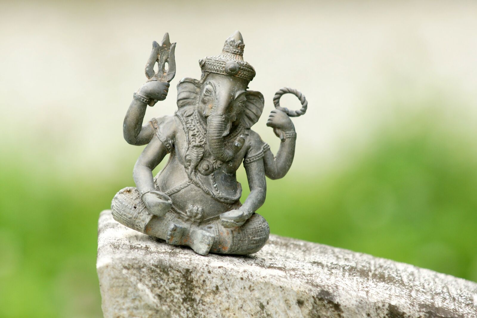 Sony Alpha DSLR-A700 sample photo. Faith, elephant, indian photography