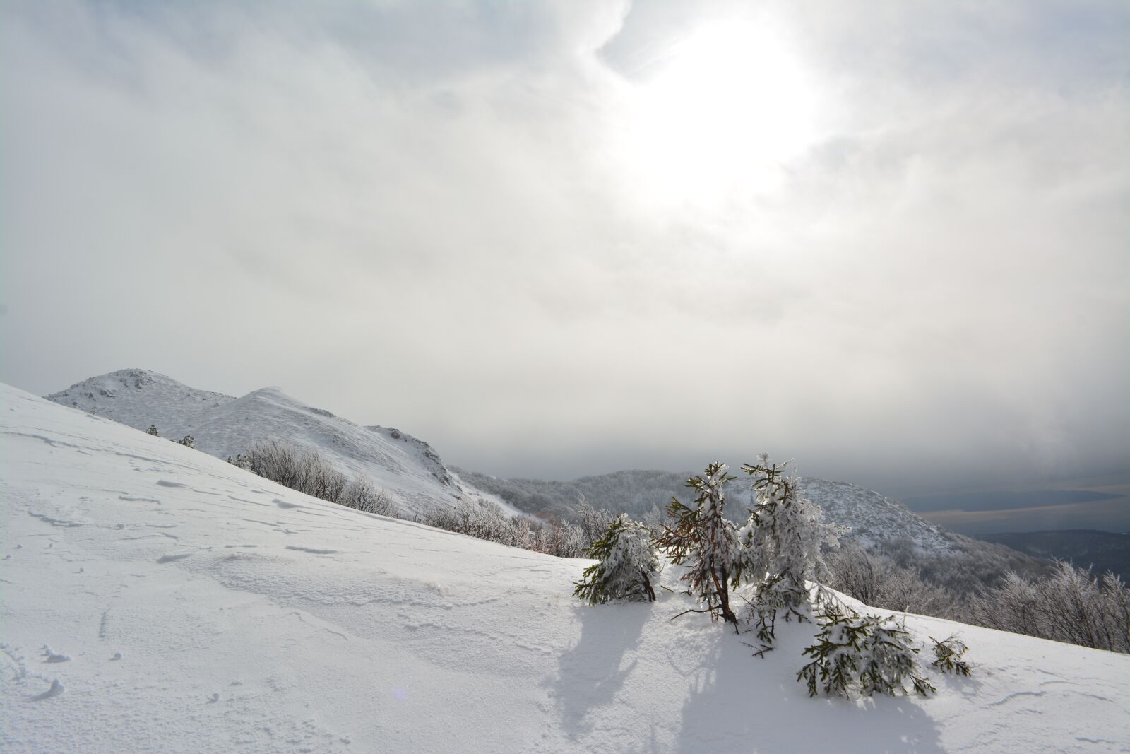 Nikon D5200 sample photo. Snow, landscape, sun photography