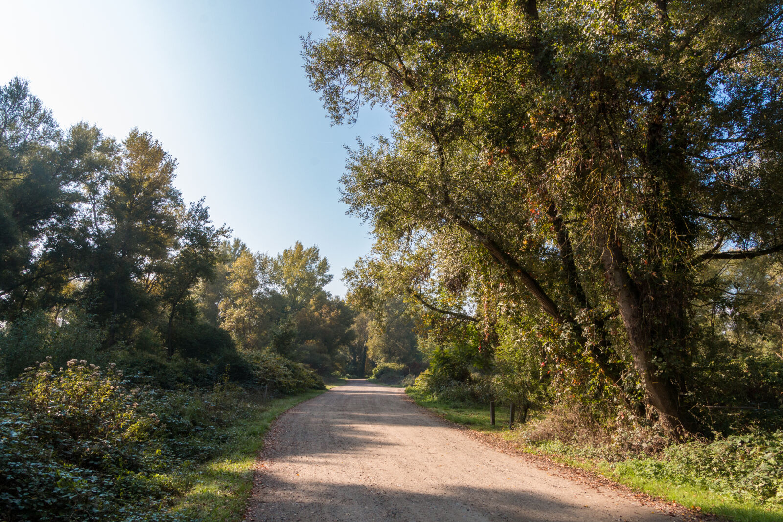 Canon EOS 70D sample photo. Blue, sky, morning, sun photography