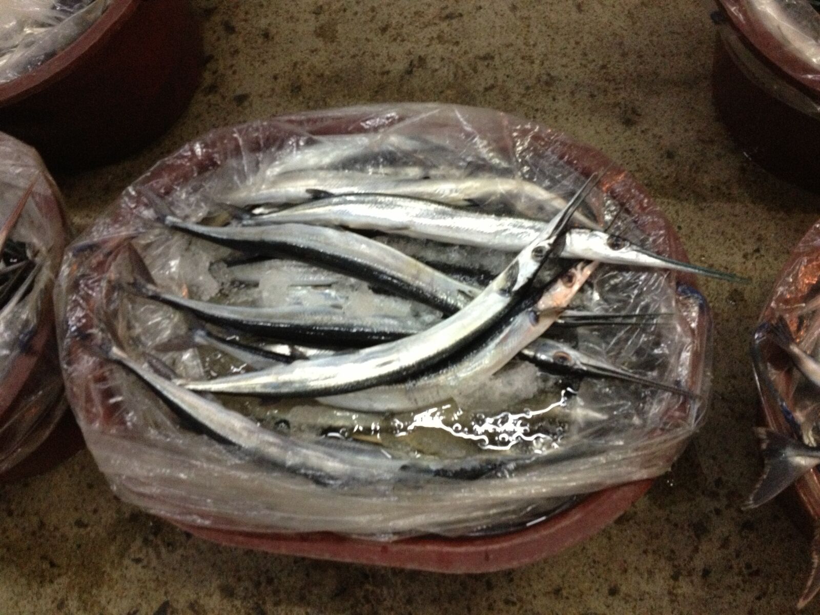 Apple iPhone 4S sample photo. Fish, fish port, agricultural photography