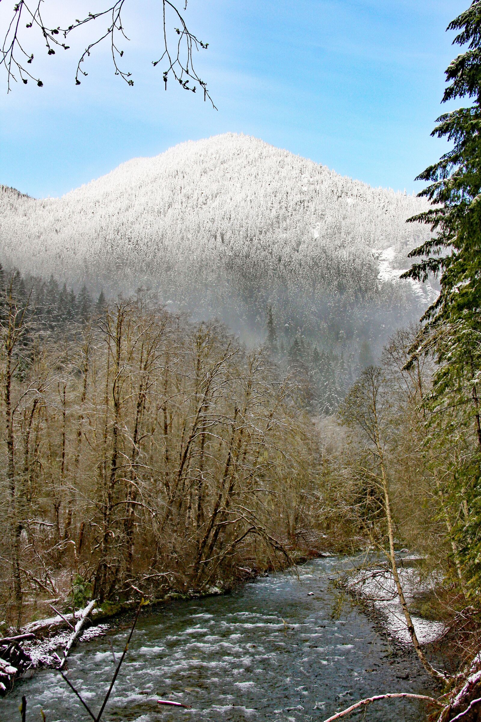 Canon EOS 40D sample photo. Washington, olympic, peninsula photography