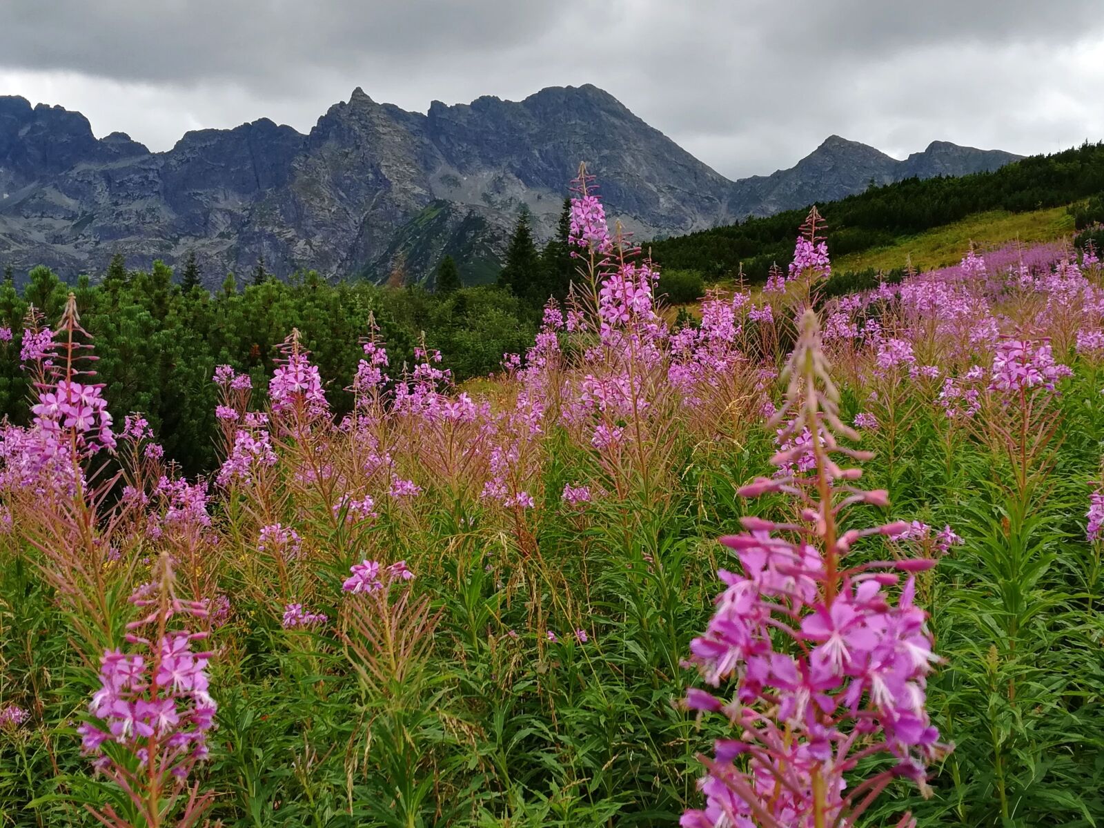 HUAWEI P10 lite sample photo. Tatry, hall, trail photography