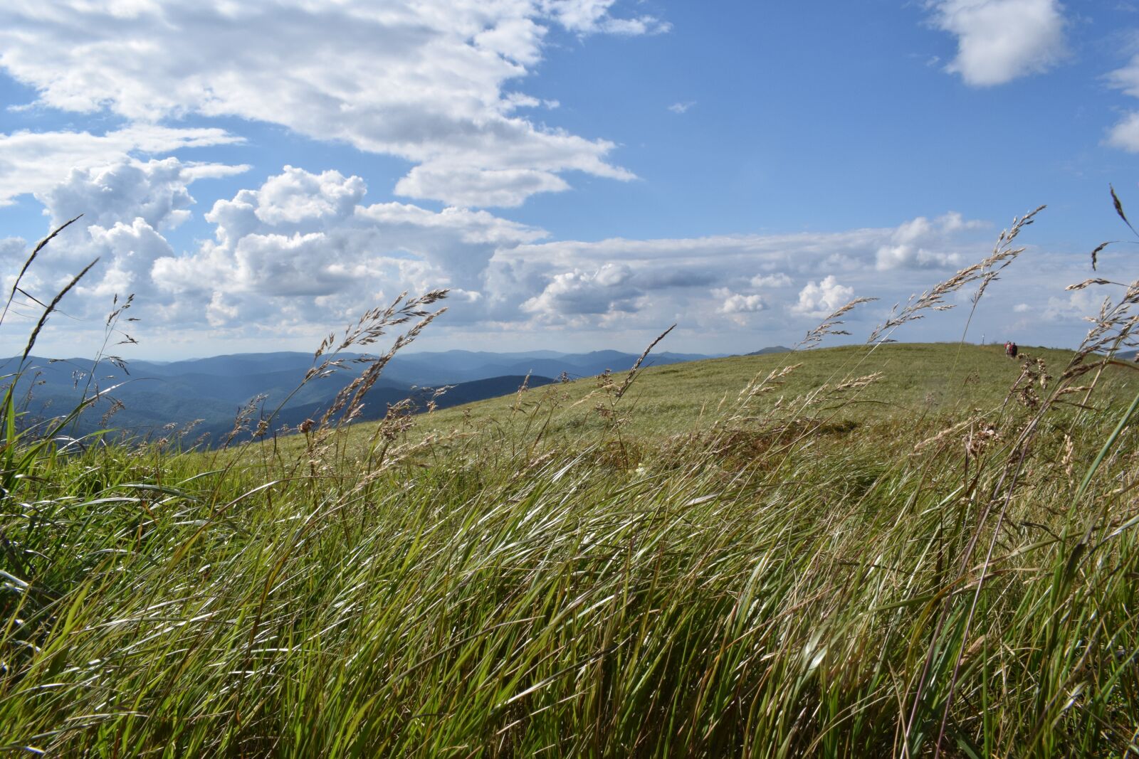 Nikon D3300 sample photo. Grass, mountains, sky photography
