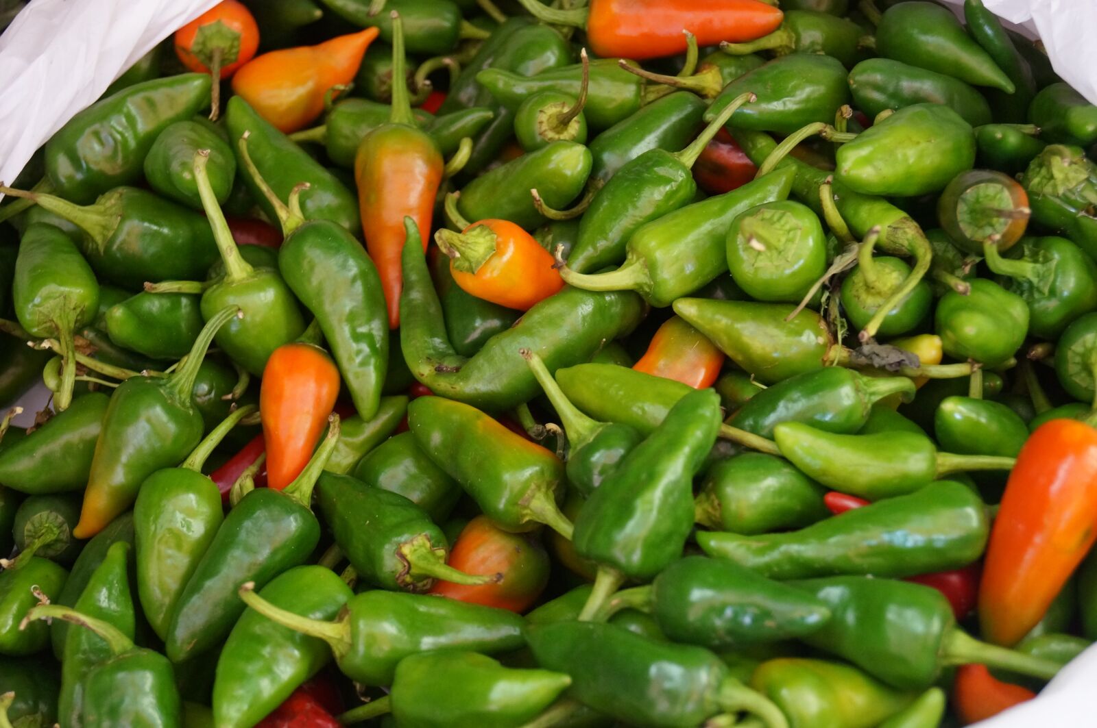 Sony SLT-A57 sample photo. Paprika, green, tenerife photography