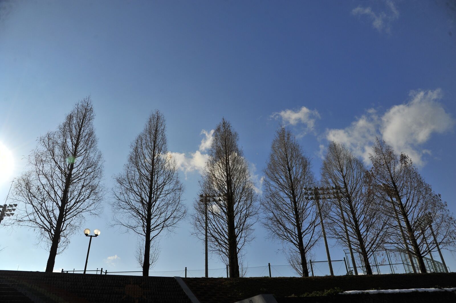 Nikon D700 sample photo. Winter, wood, blue sky photography