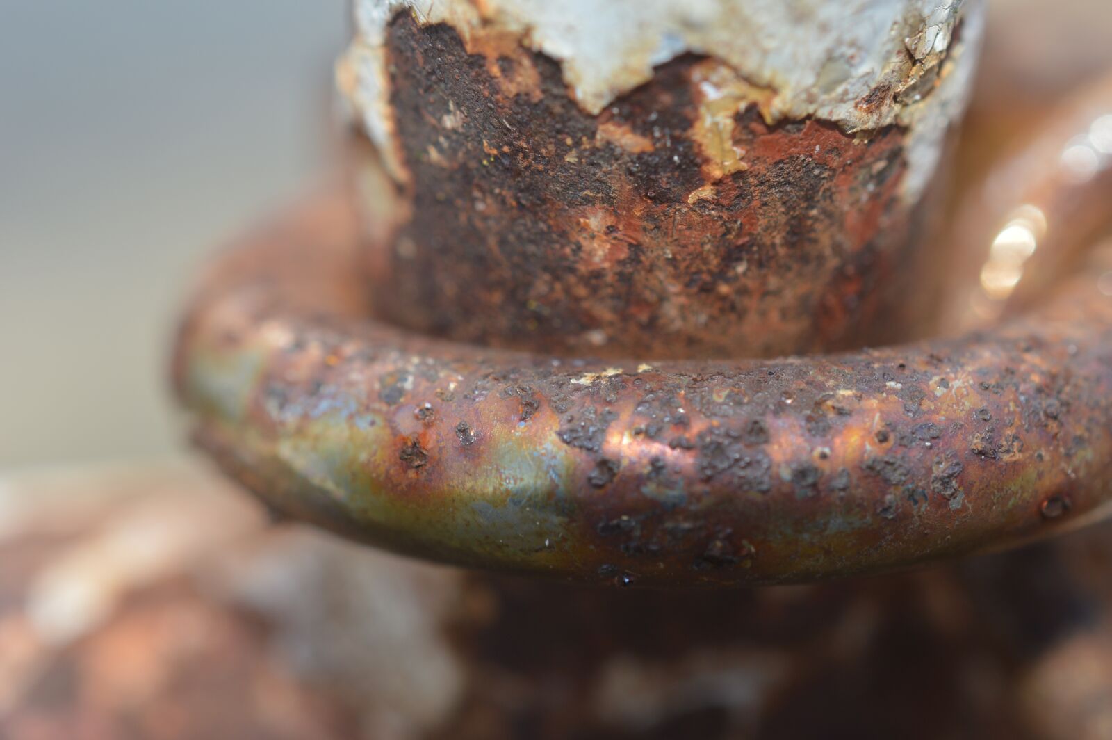 Nikon D3200 sample photo. Rust, texture, metal photography