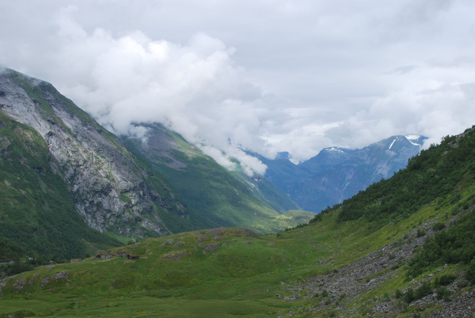 Nikon D60 sample photo. Norway, mountain, grass photography