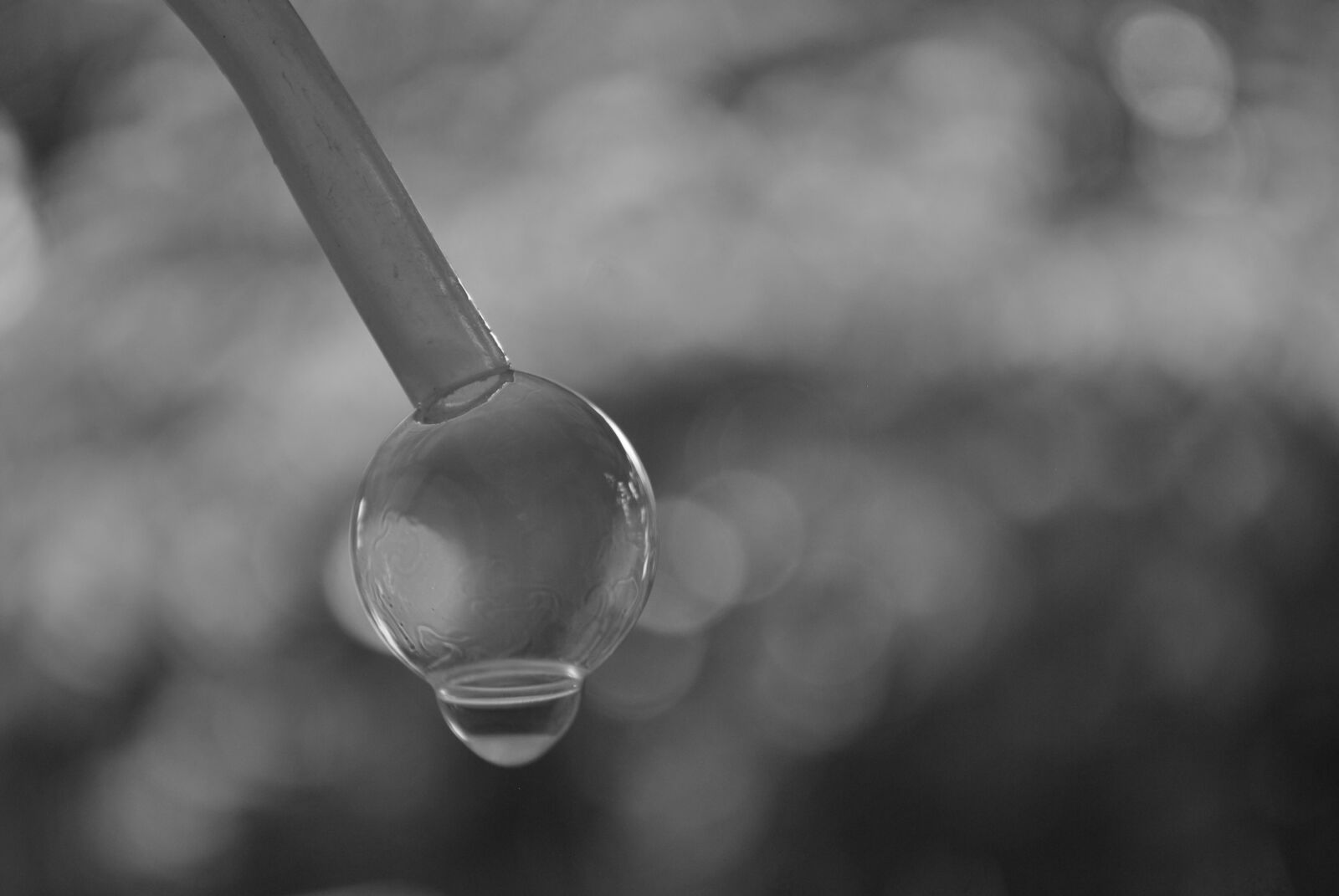 Nikon D3000 sample photo. Bubble, grayscale, live, nature photography