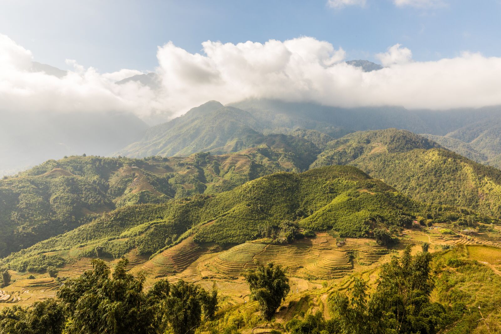 Canon EF 16-35mm F4L IS USM sample photo. Sapa, vietnam, rice fields photography