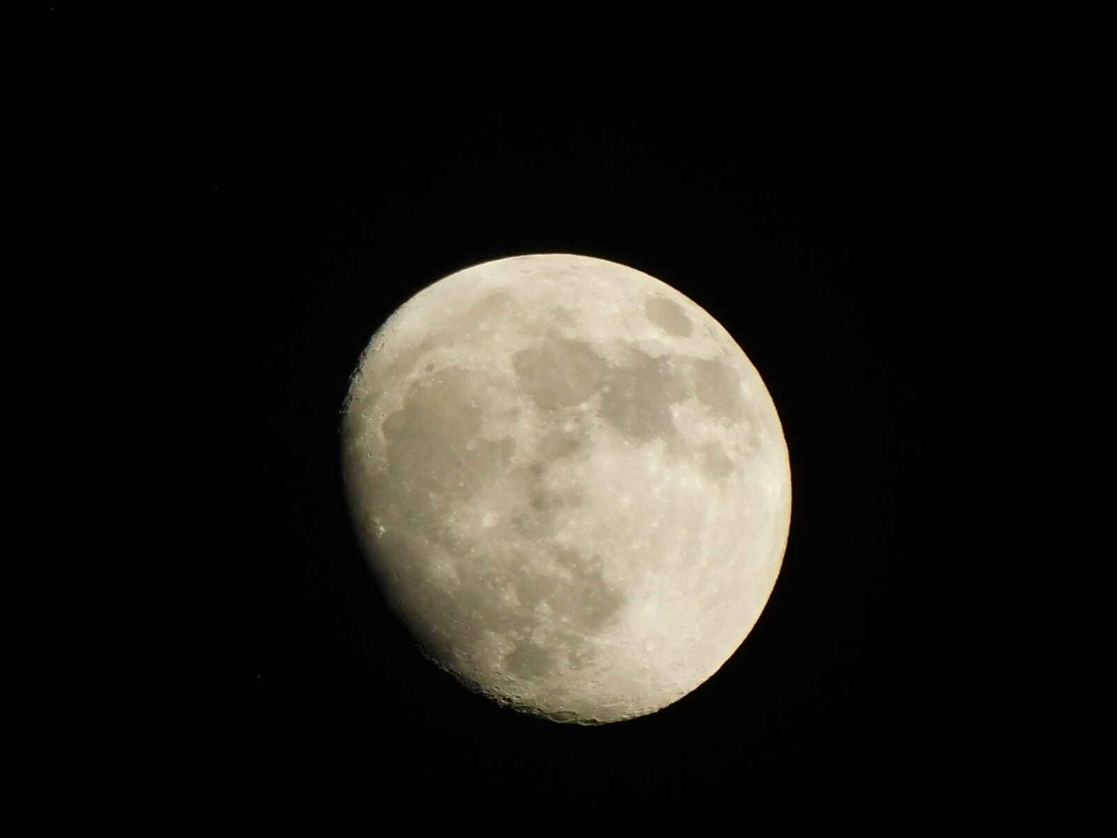 Nikon Coolpix B500 sample photo