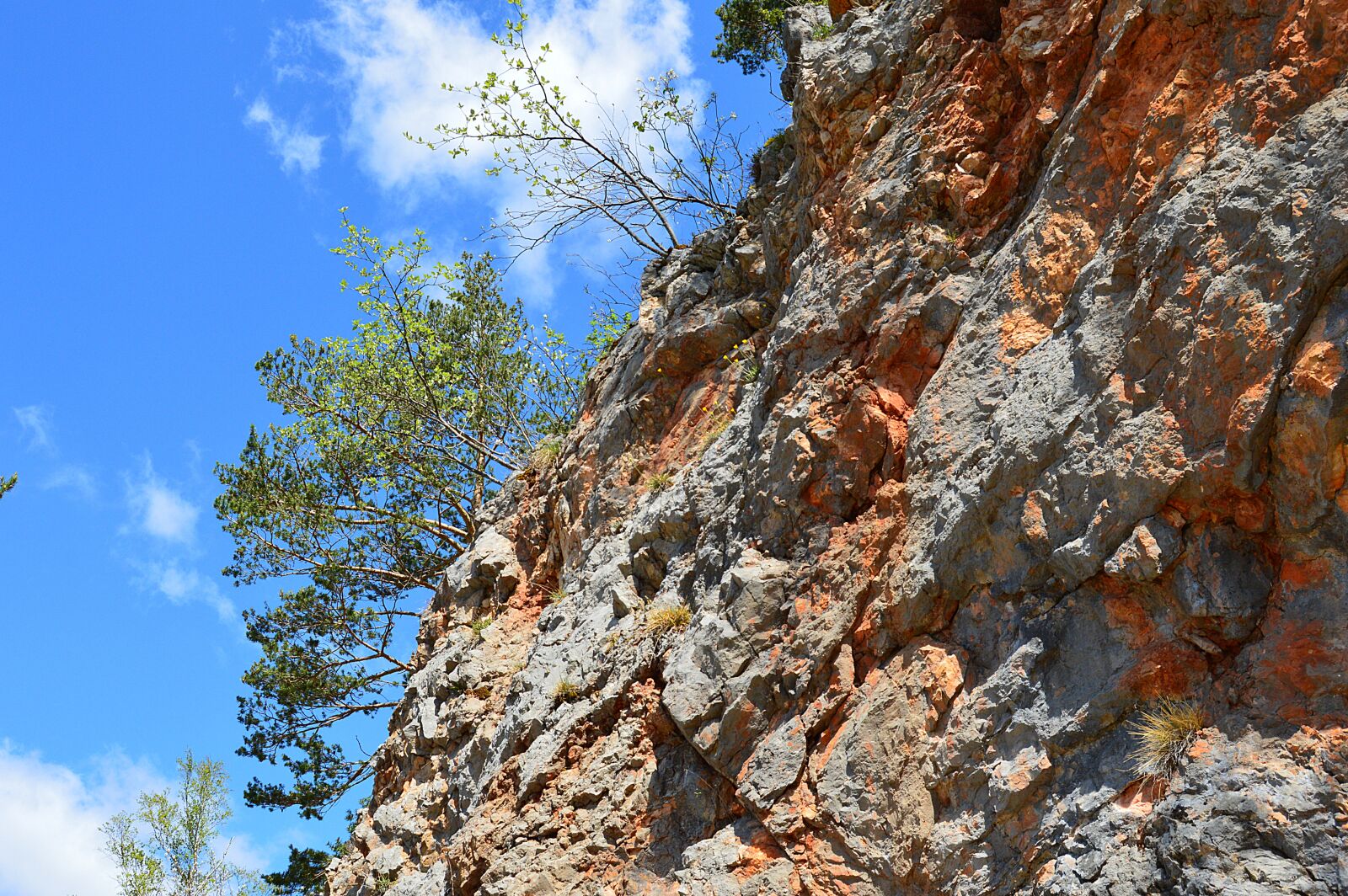 Nikon D3200 sample photo. Schwarzau, mountains, lower austria photography