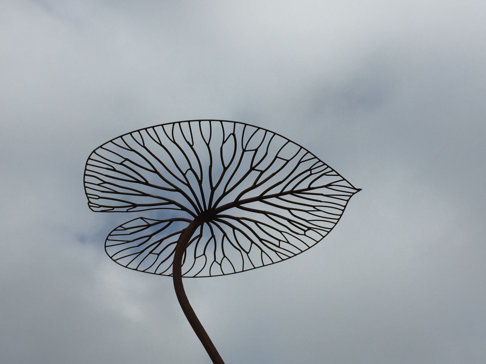 Apple iPhone 6 sample photo. Art, leaf, sky photography