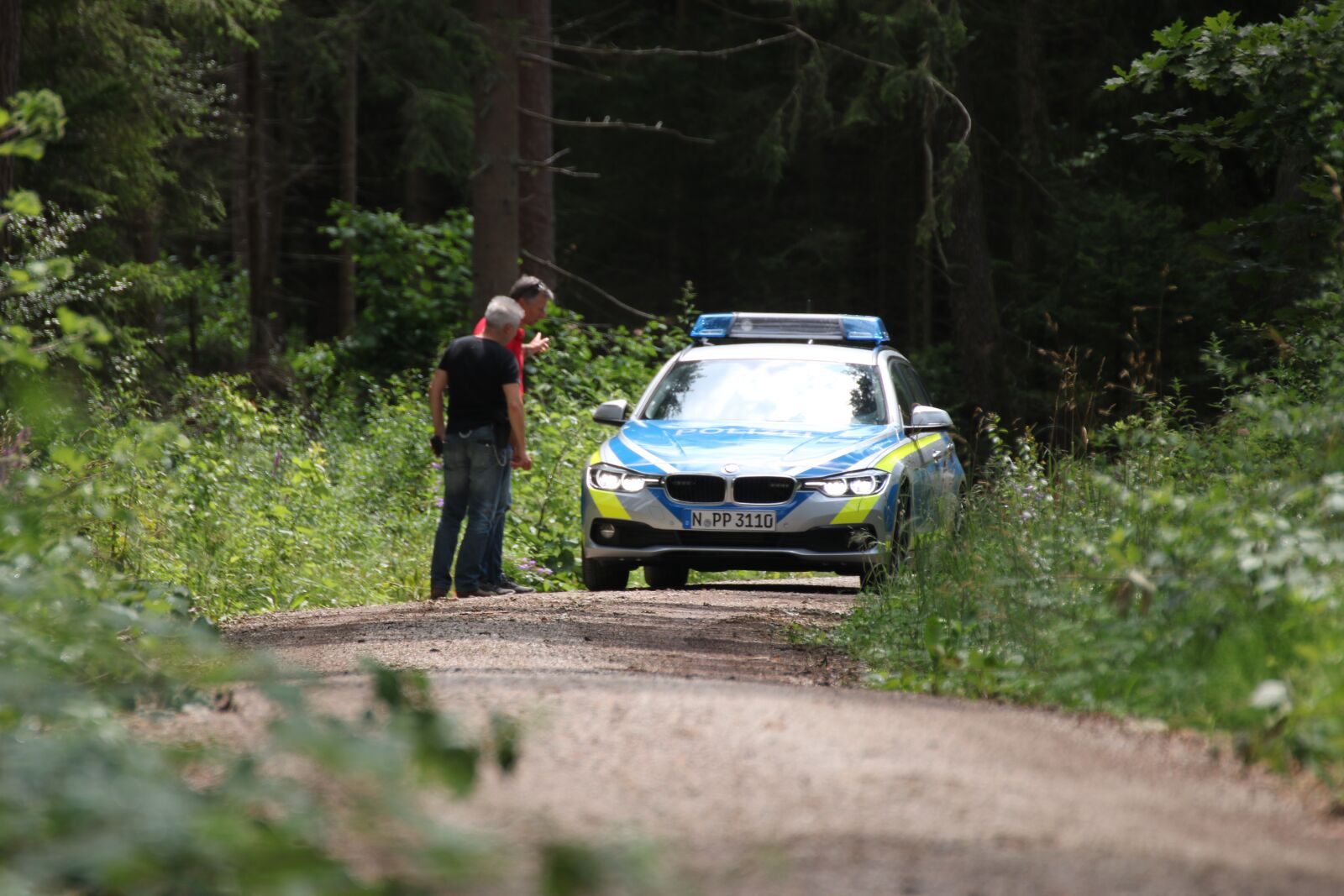 Canon EOS 750D (EOS Rebel T6i / EOS Kiss X8i) sample photo. Police, forest, nature photography