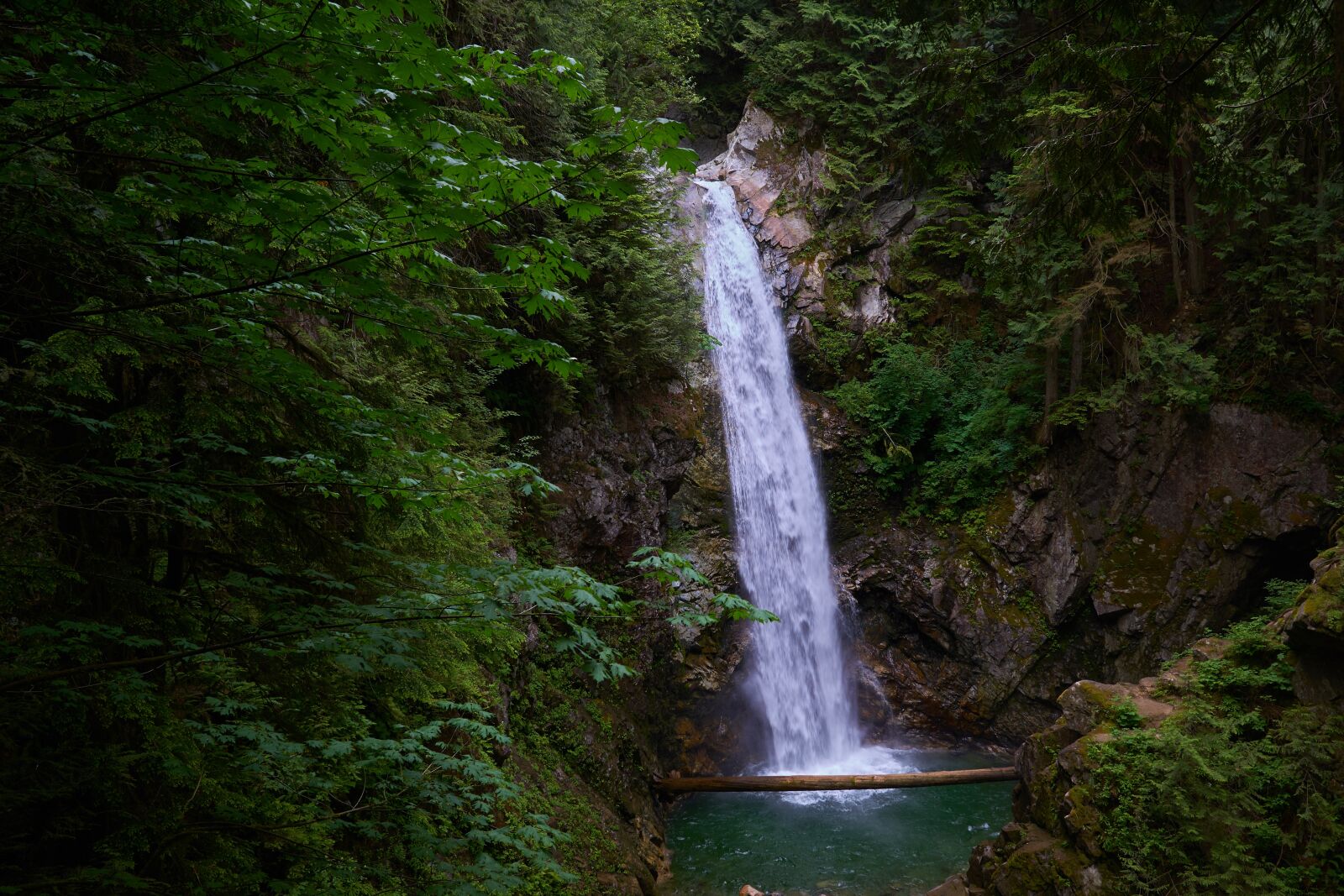 Sony a6000 + Sigma 19mm F2.8 EX DN sample photo. Waterfall, forest, nature photography