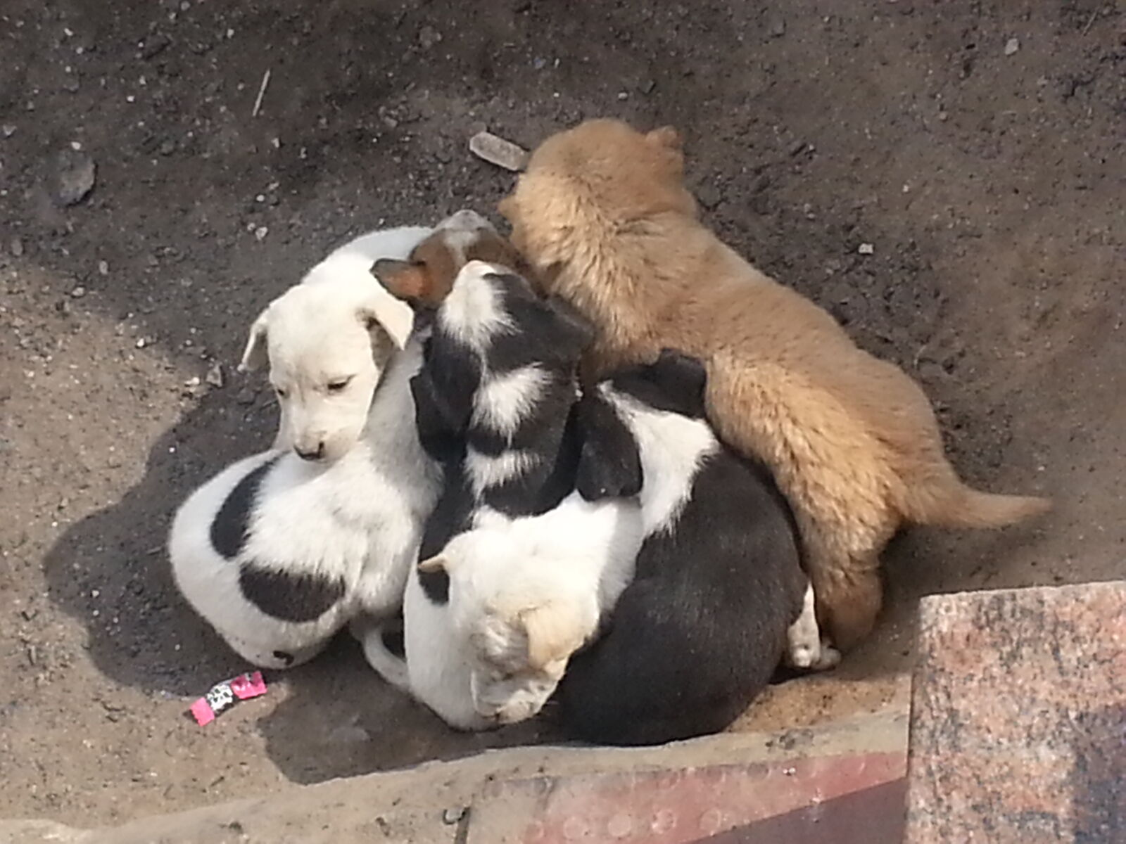 Samsung Galaxy Note2 sample photo