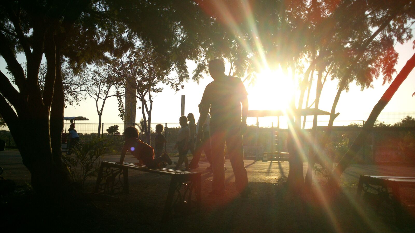 Sony Ericsson Xperia P sample photo. Sunset, brightness, nature photography