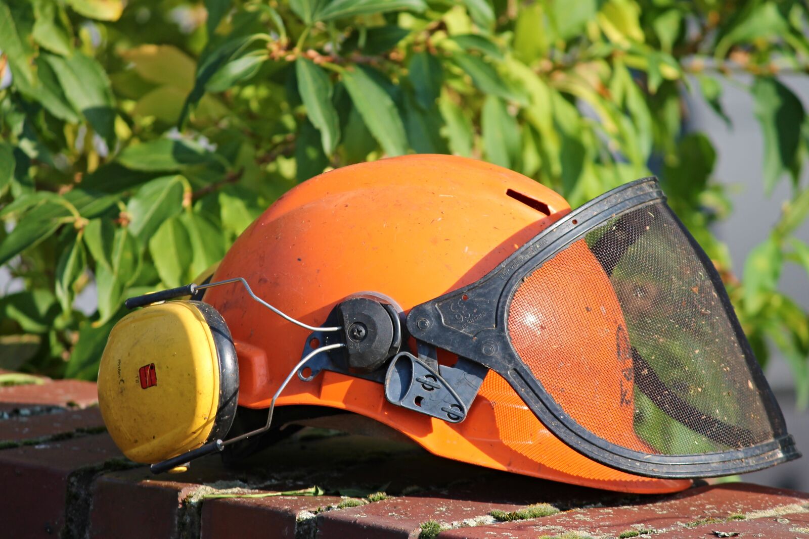 Canon EOS 1100D (EOS Rebel T3 / EOS Kiss X50) sample photo. Helmet, helm, gardening photography