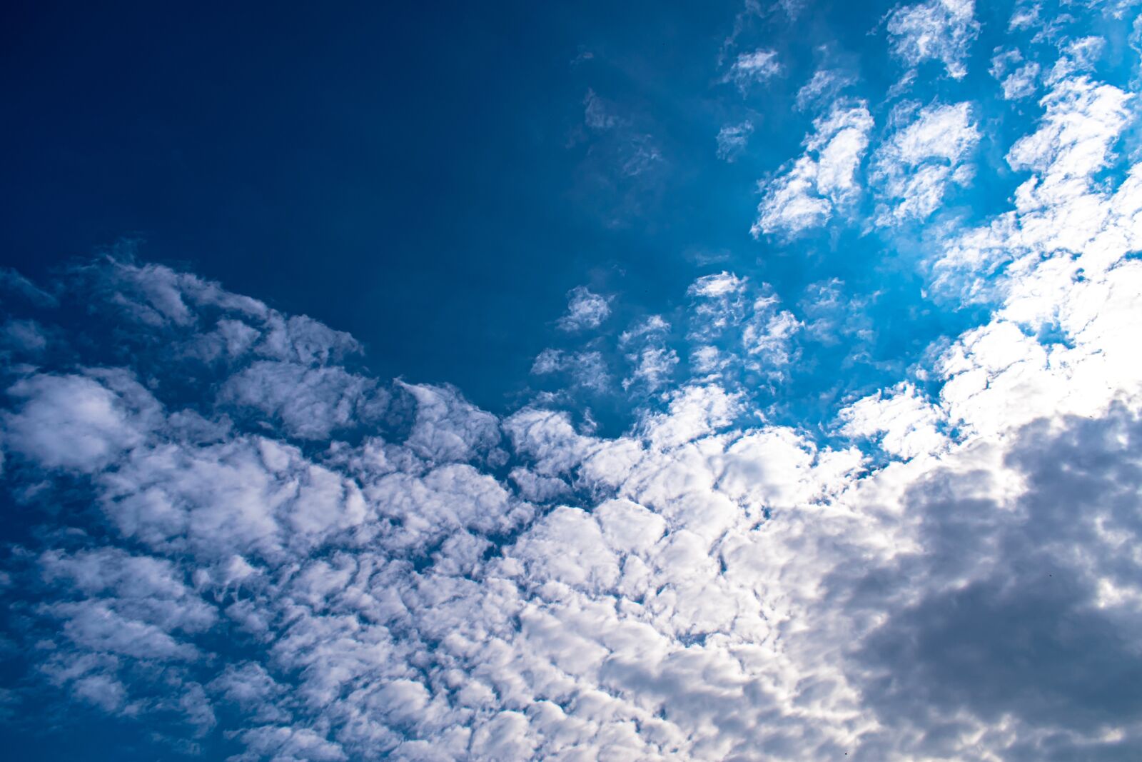 Nikon D5300 sample photo. Sky, clouds, cirruswolken photography