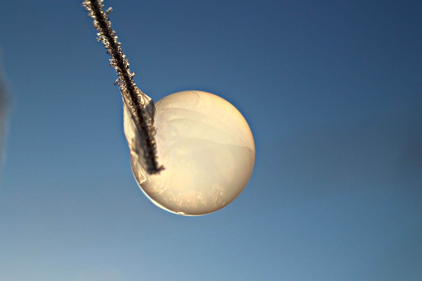 Canon EOS 100D (EOS Rebel SL1 / EOS Kiss X7) sample photo. Ice bubble, soap bubble photography