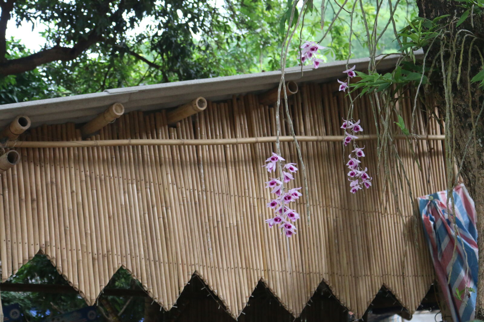 Canon EOS 70D sample photo