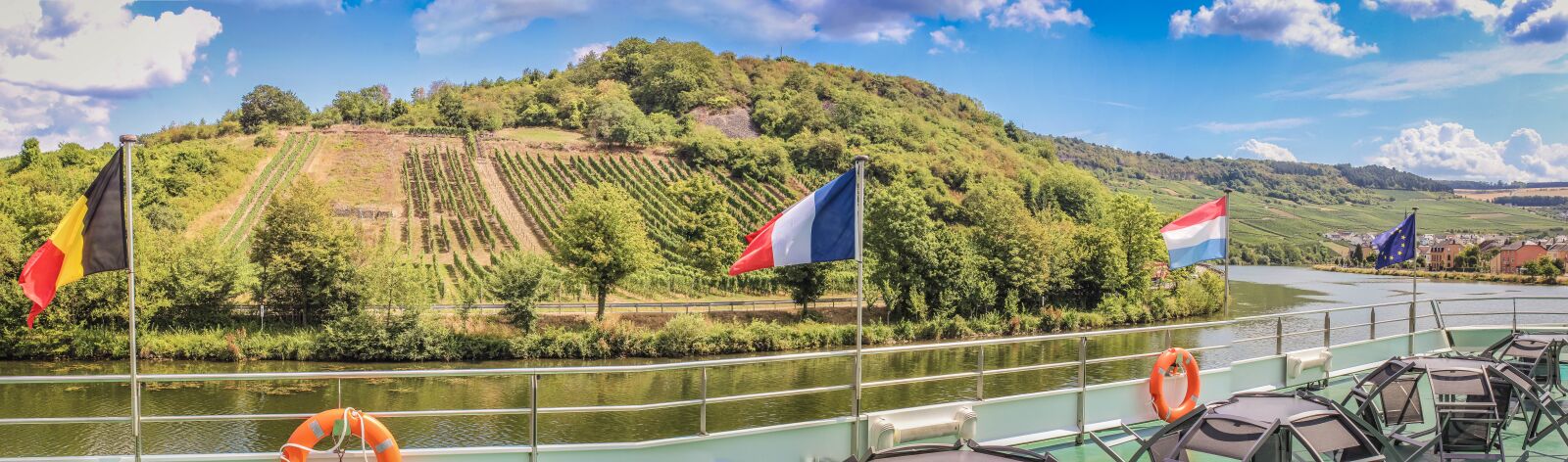 Canon EOS 600D (Rebel EOS T3i / EOS Kiss X5) sample photo. Vineyard, mosel, sachsen photography