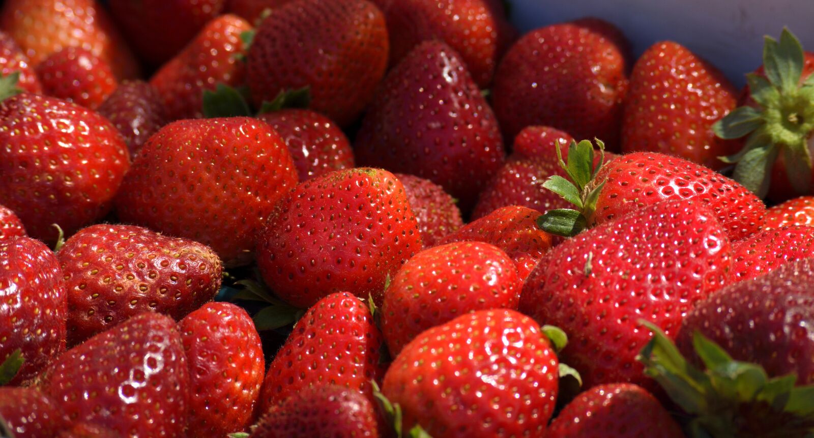 Nikon D3300 sample photo. Strawberries, fruit, food photography