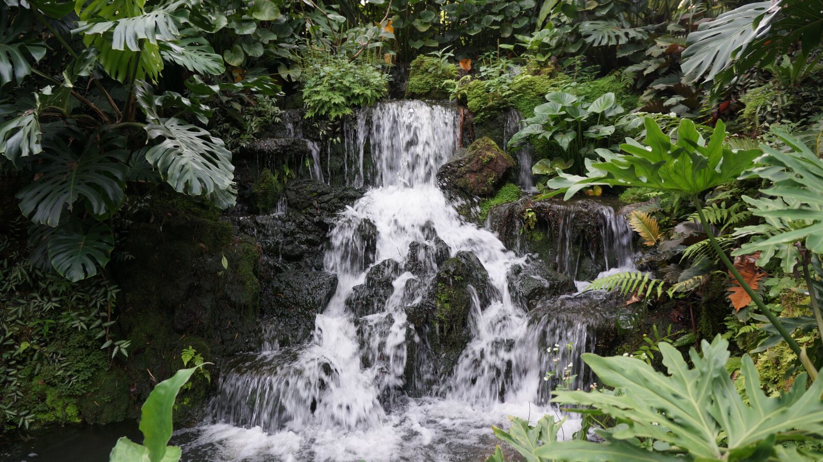 Sony Alpha NEX-5N + Sony E 18-55mm F3.5-5.6 OSS sample photo. Waterfall, cambodia, nature photography