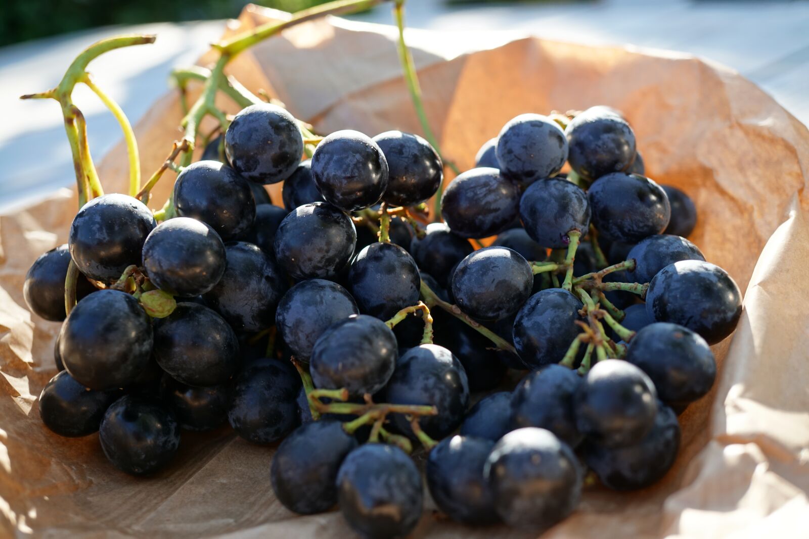 Sony E 30mm F3.5 Macro sample photo. Grape, grapes, blue photography