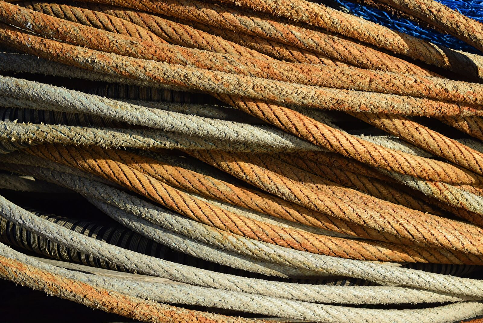 Nikon D3300 sample photo. Rope, coil, texture photography