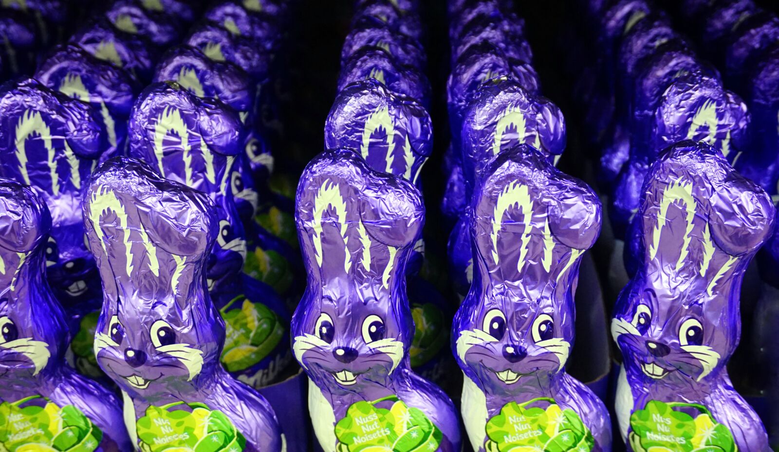 Sony E 16-50mm F3.5-5.6 PZ OSS sample photo. Easter bunny, chocolate, easter photography