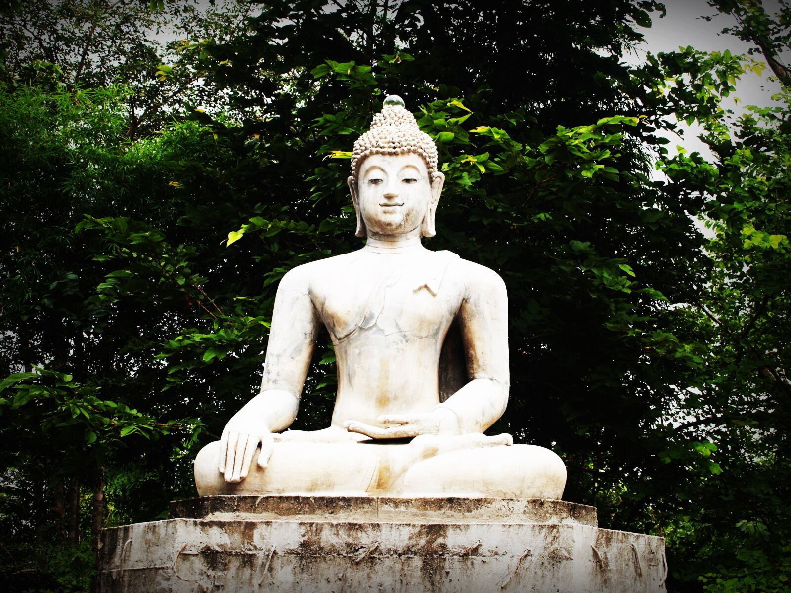 Olympus E-300 (EVOLT E-300) sample photo. Buddha, india, mind photography