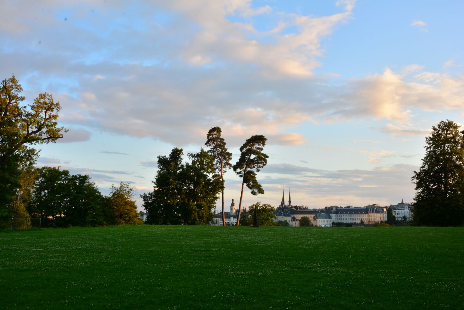 Nikon D7100 sample photo. Lawn, tree, landscape photography