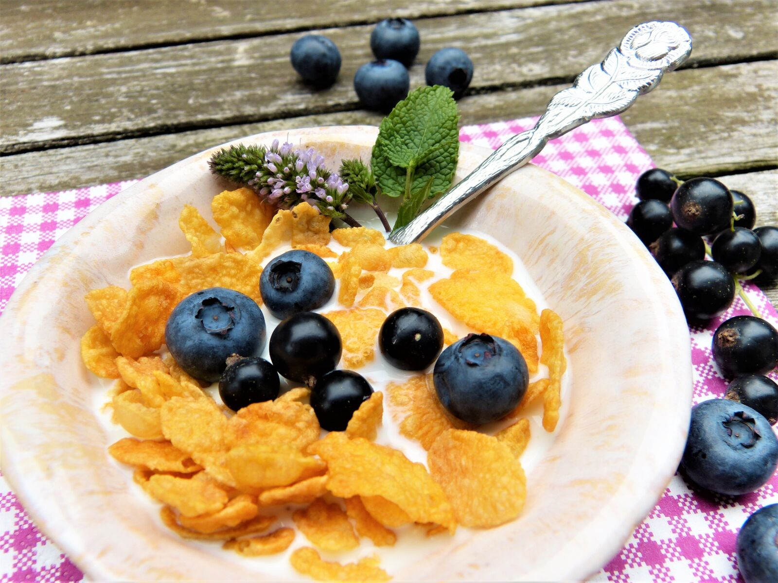 Panasonic Lumix DMC-FZ150 sample photo. Corn flakes, milk, berries photography