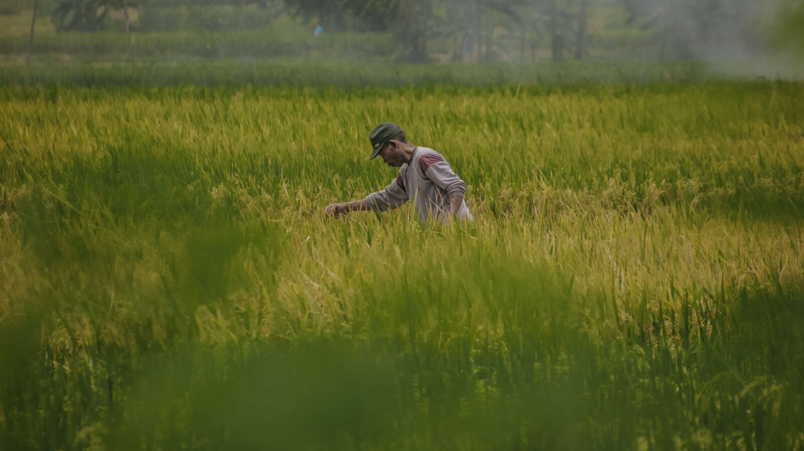 Canon EOS 600D (Rebel EOS T3i / EOS Kiss X5) sample photo. Farm, village, nature photography