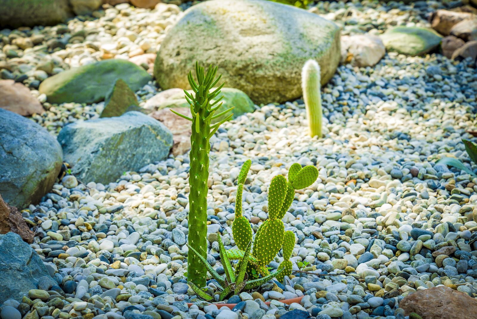 Nikon D610 sample photo. Nature, water, stone photography