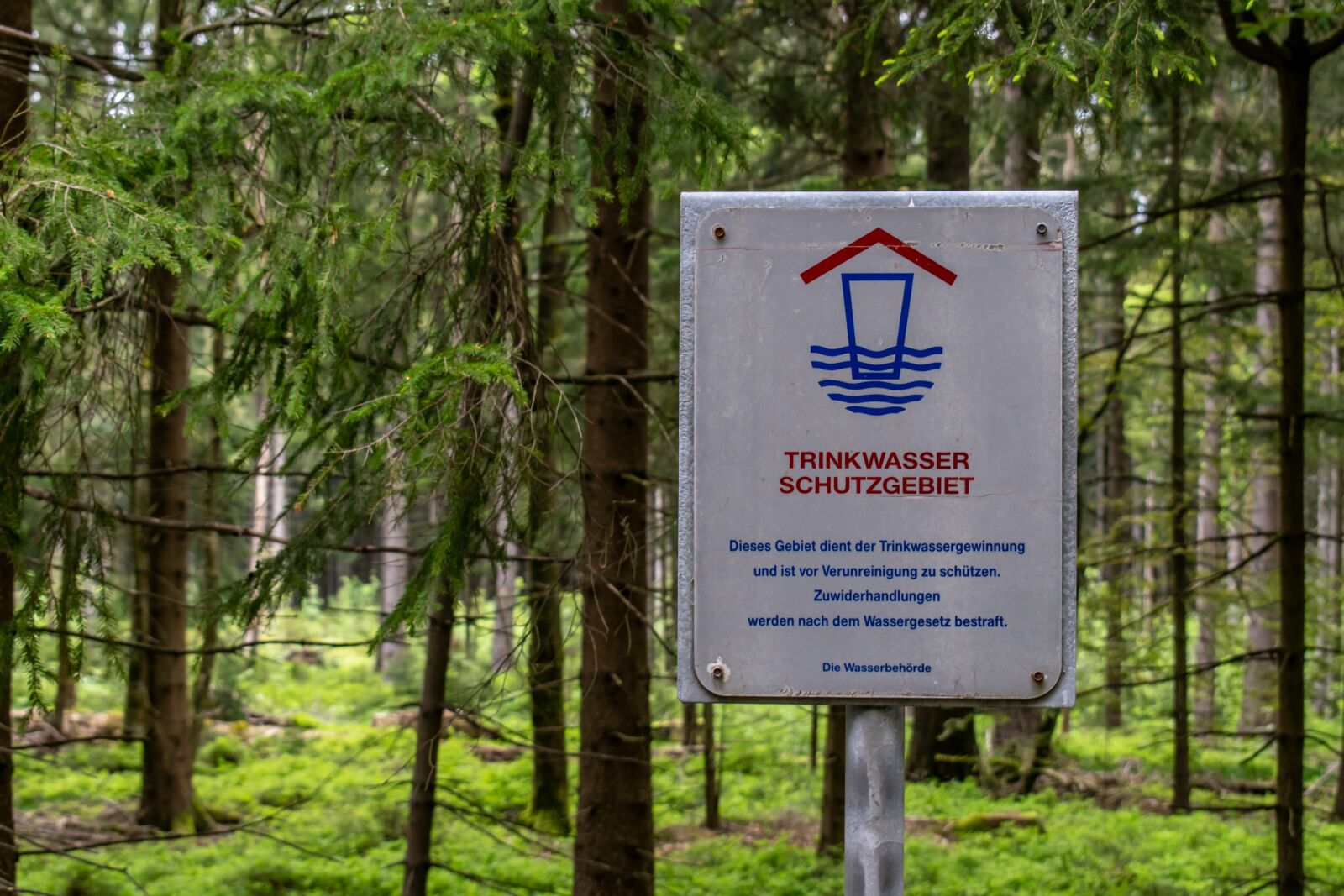 Nikon D5300 sample photo. Drinking water protection area photography