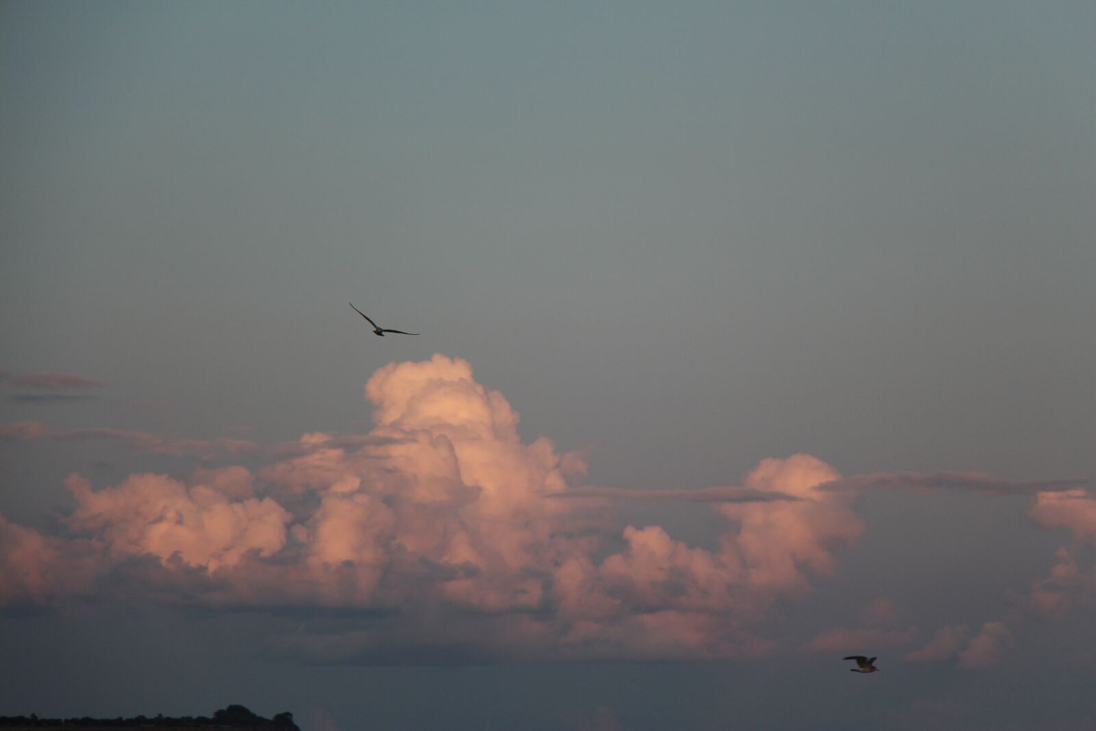 Canon EOS 650D (EOS Rebel T4i / EOS Kiss X6i) sample photo. Clouds, sky, birds photography