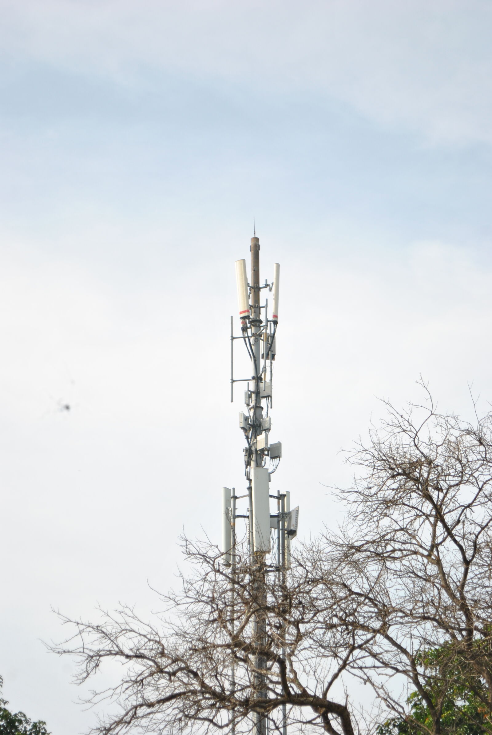 AF Zoom-Nikkor 28-80mm f/3.5-5.6D sample photo. Signal pole photography