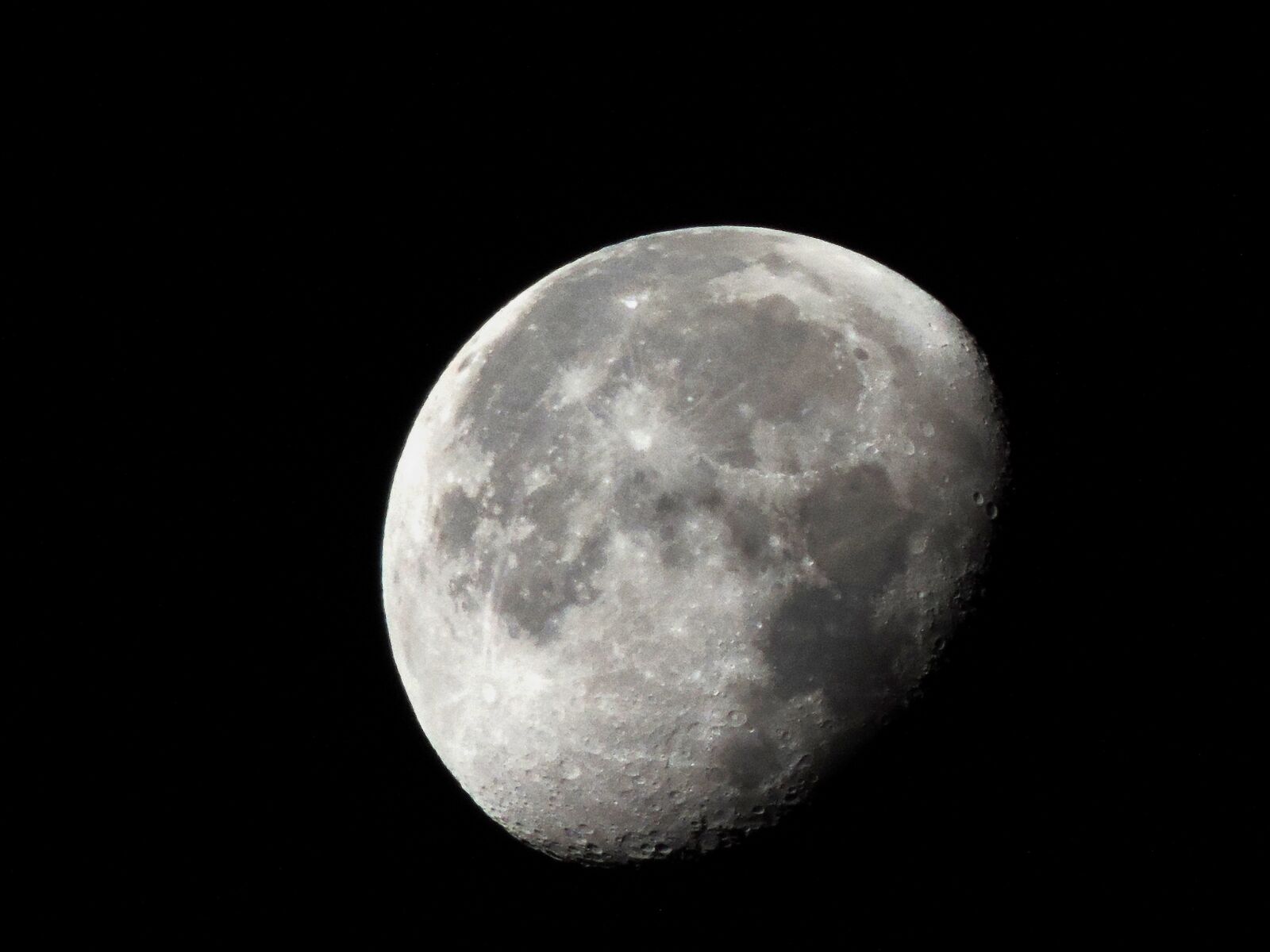 Nikon Coolpix P520 sample photo. Luna, clear, charm photography