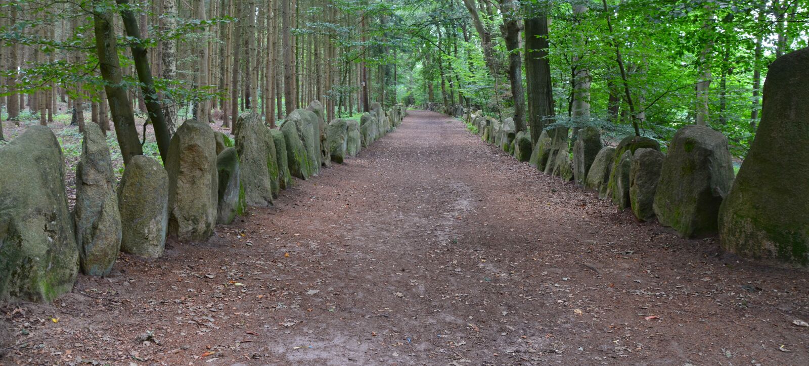 Nikon D5200 sample photo. Memorial, path, away photography
