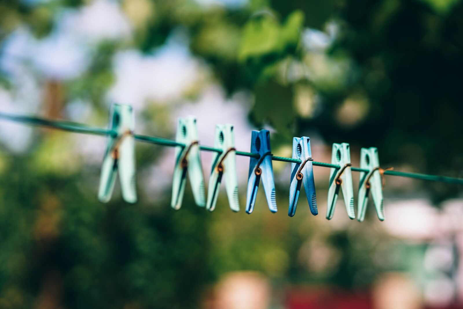 Sony a7 II sample photo. Pegs, clothe pegs, drying photography