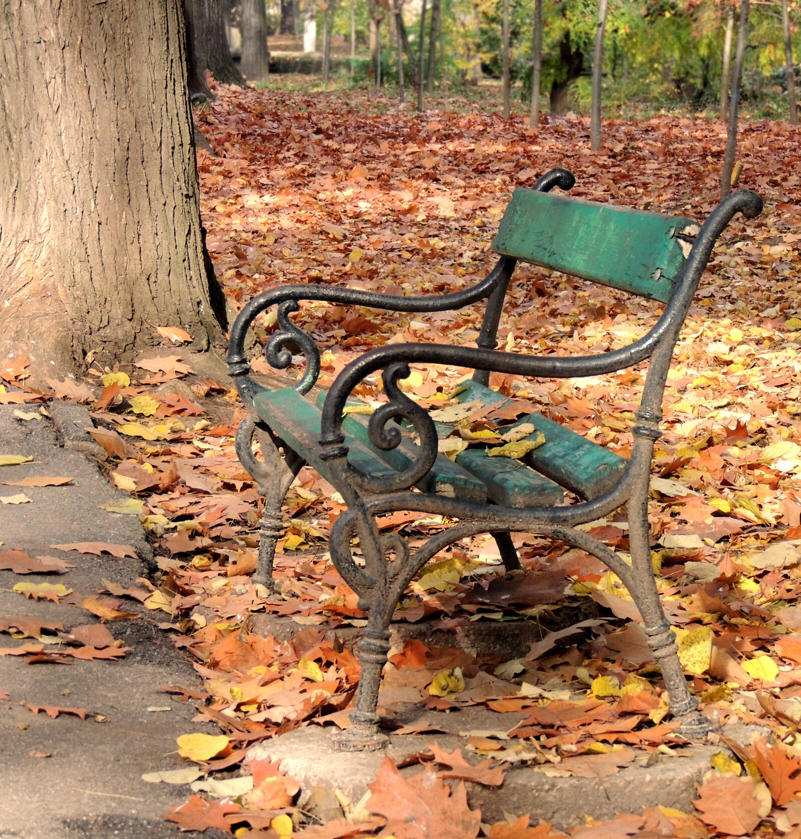 Nikon Coolpix P510 sample photo. Autumn, fall, herastrau, herbst photography
