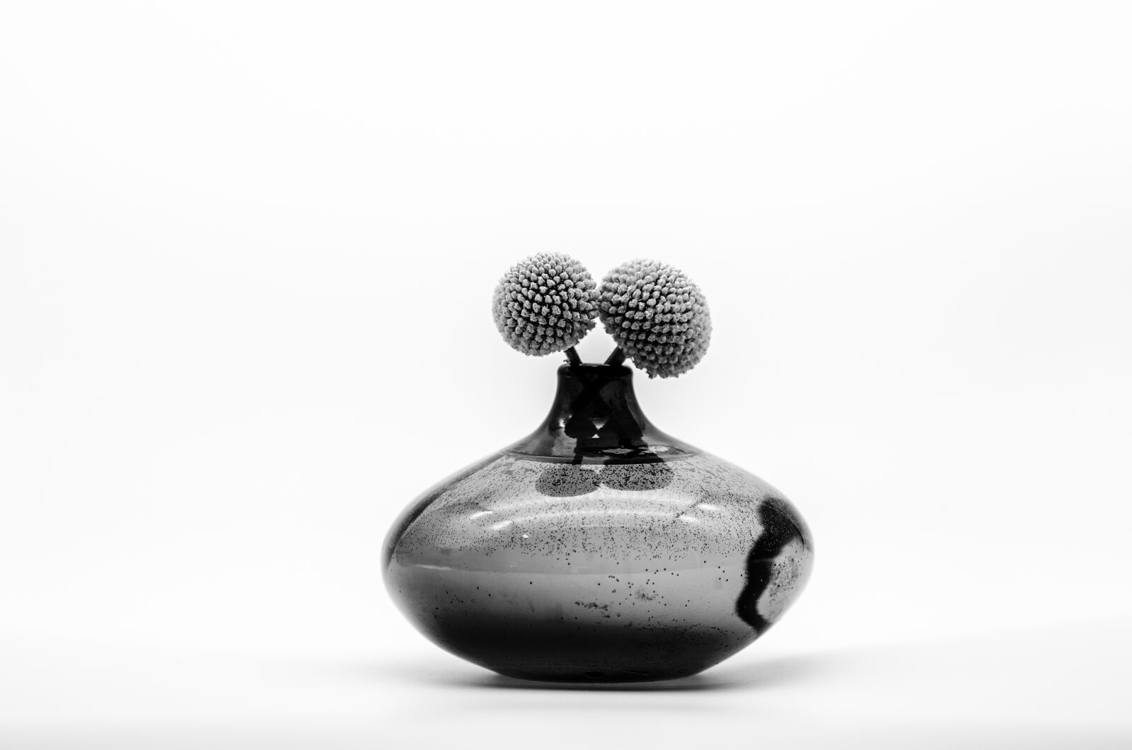 Tamron SP 90mm F2.8 Di VC USD 1:1 Macro sample photo. Vase, glass, black and photography