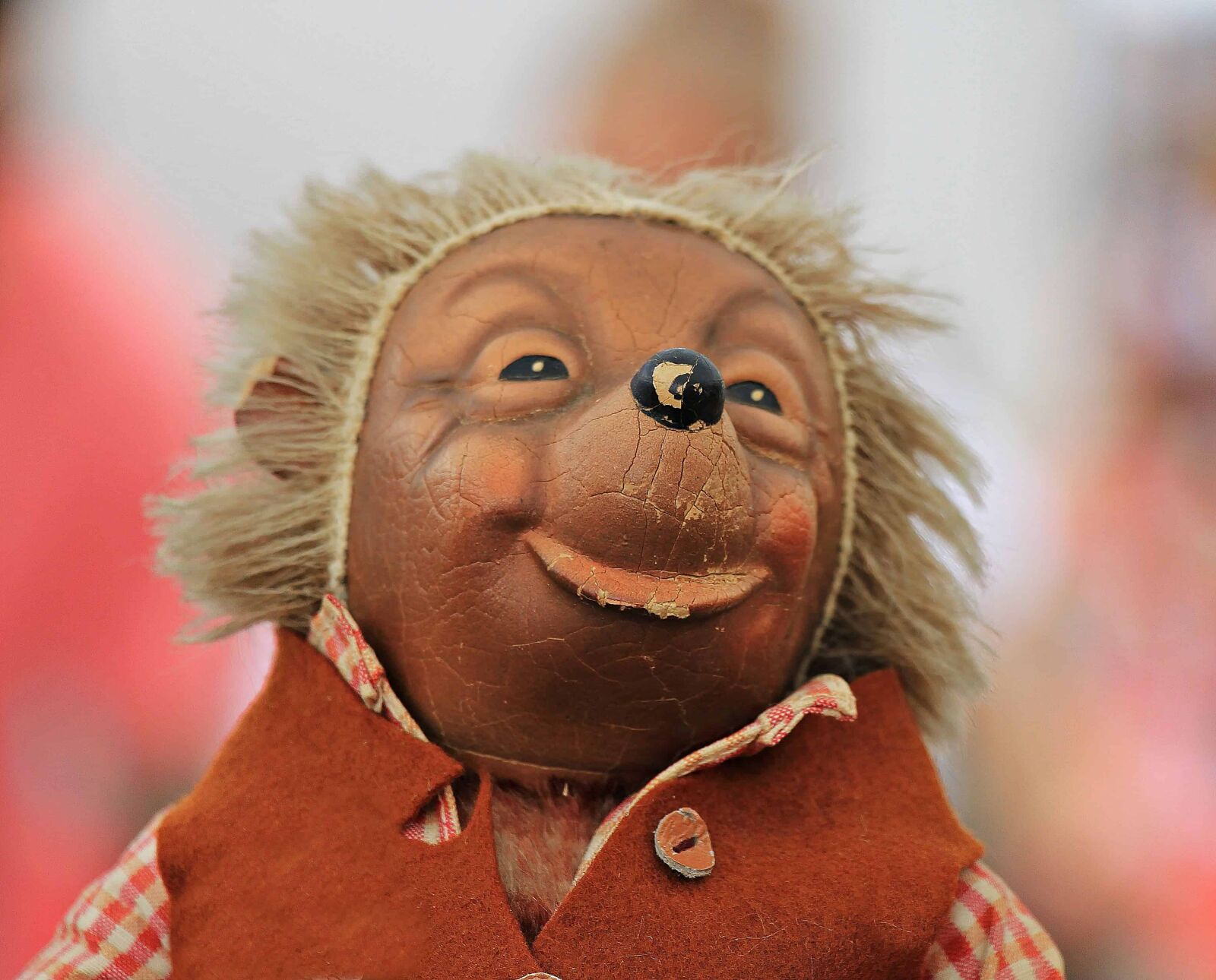 Canon EOS 550D (EOS Rebel T2i / EOS Kiss X4) sample photo. Hedgehog, portrait, doll, face photography