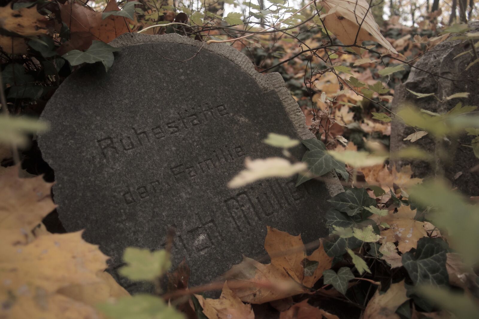 Canon EOS 80D sample photo. Graves, snitch list, memory photography