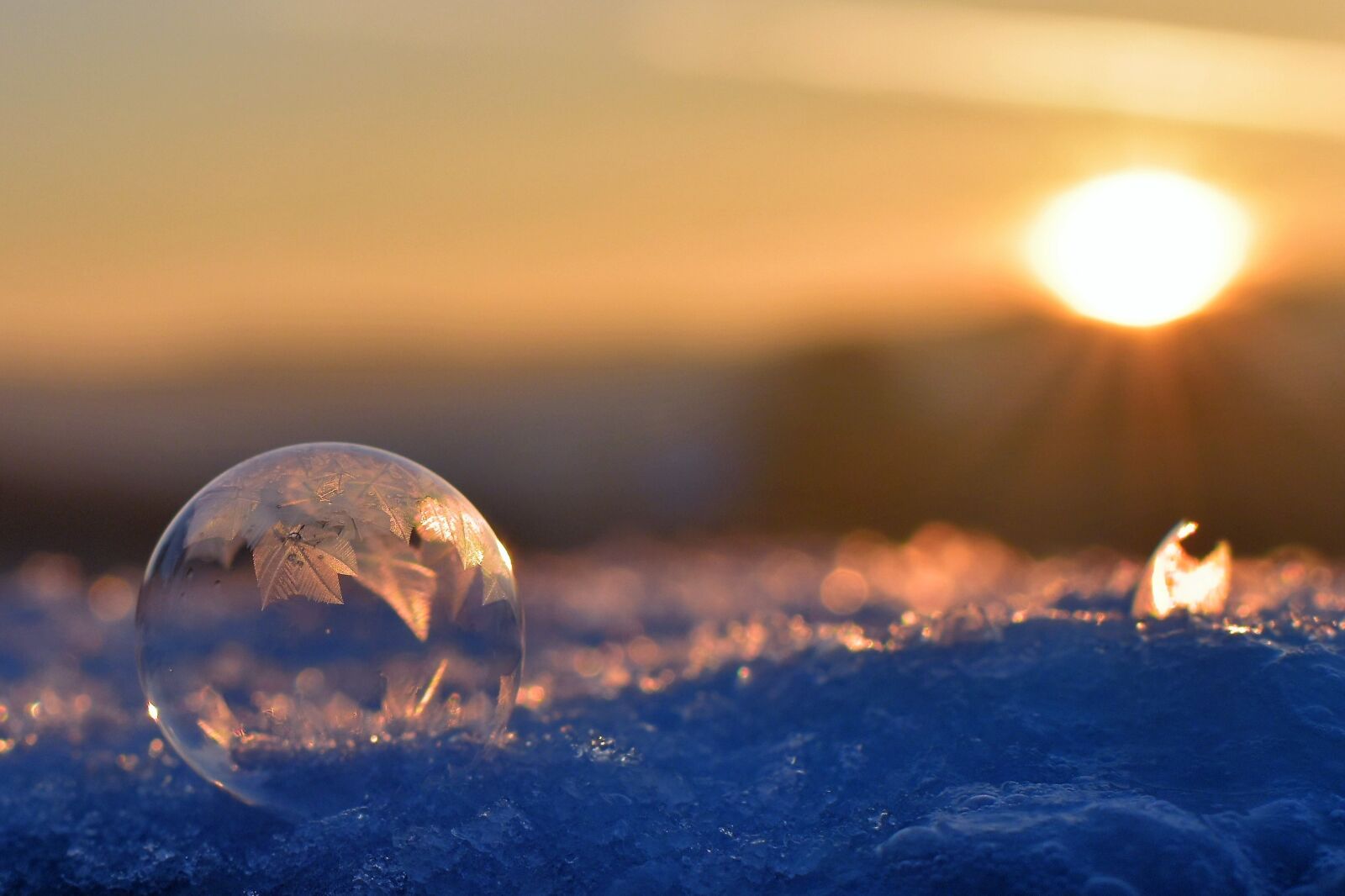 Nikon D5500 sample photo. Soap bubble, frozen, frozen photography
