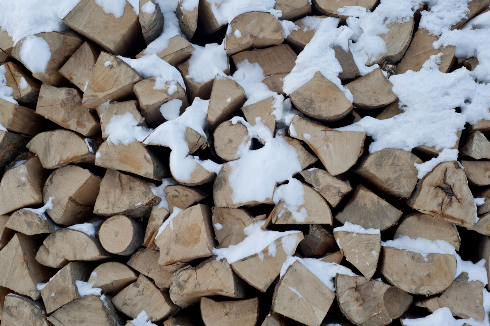 Nikon D700 sample photo. Chopped, chopped, wood, cold photography