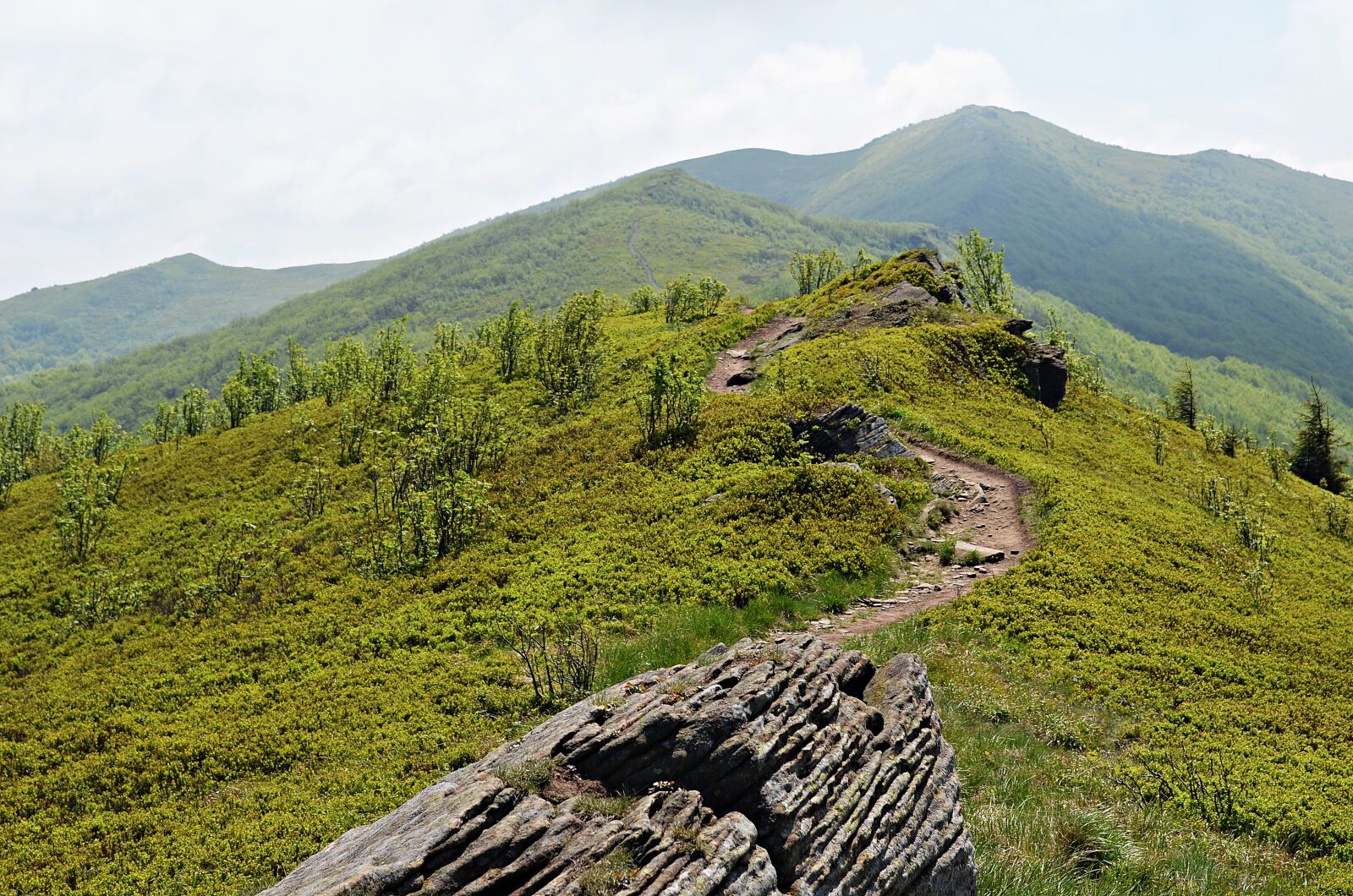 Nikon D5100 sample photo. Mountains, landscape, bieszczady photography