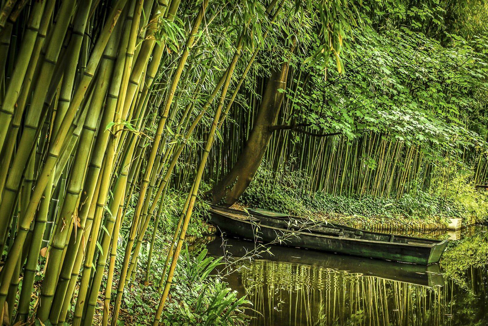 Nikon D60 sample photo. Bamboo, boat, vietnamese photography
