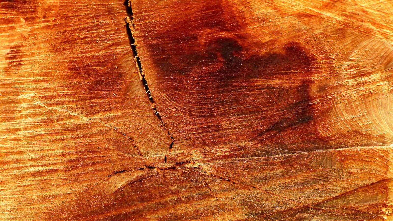 Panasonic Lumix DMC-FZ200 sample photo. Model, wallpaper, abstract photography